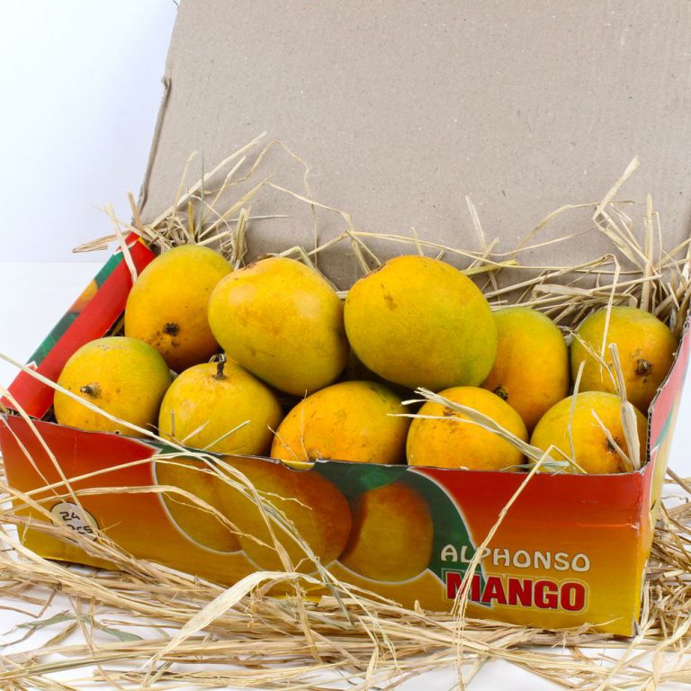 alphonso mango box price